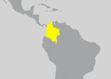 Invicta Watch Colombia