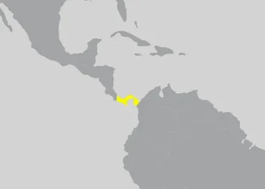 Invicta Watch Panamá