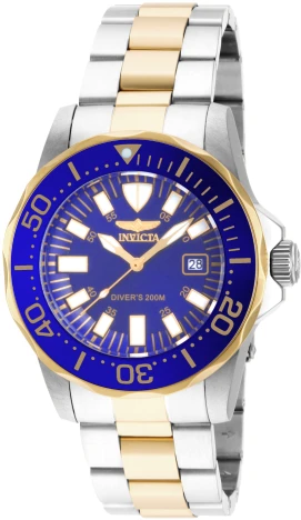 Pro Diver model 15031 | Invictawatch