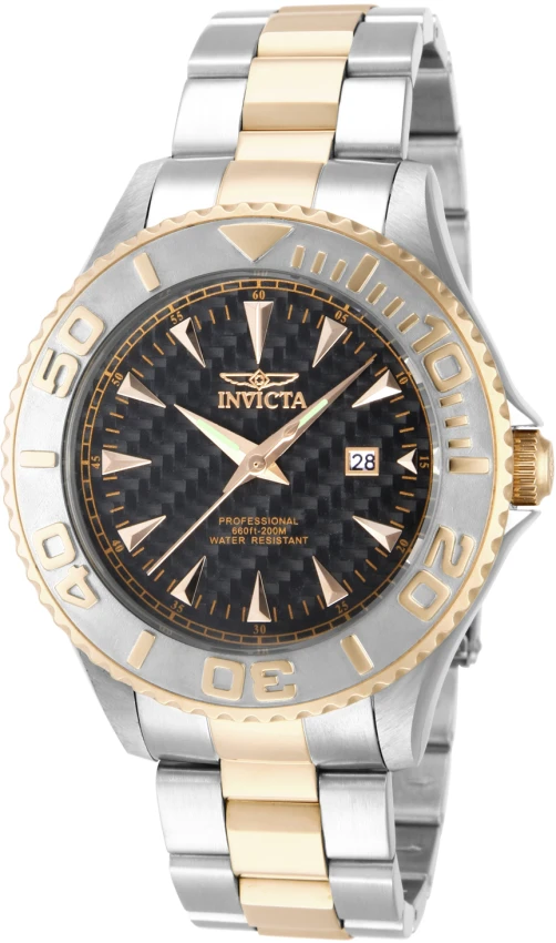 Pro Diver model 15169 | Invictawatch