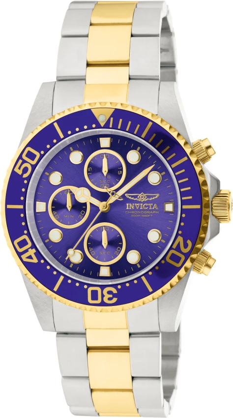 Pro Diver model 1773 | Invictawatch