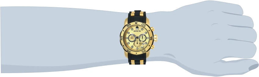 Pro Diver model 17885 | Invictawatch
