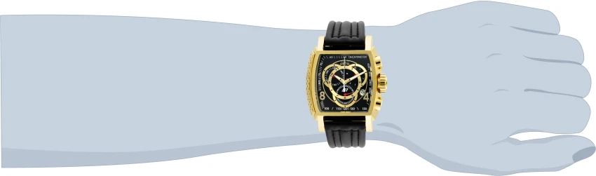 S1 Rally model 20242 | Invictawatch
