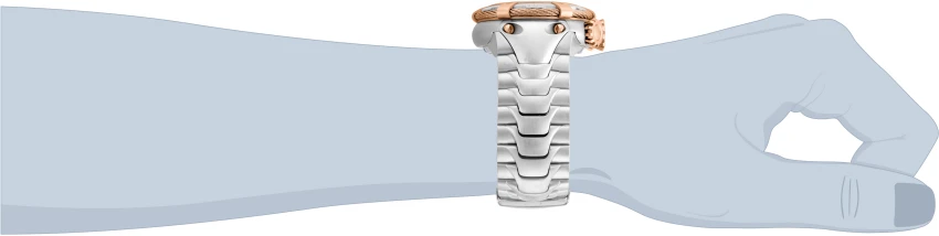 Bolt model 21342 | Invictawatch
