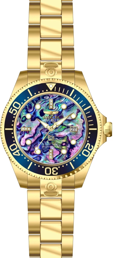 Pro Diver model 23984 | Invictawatch