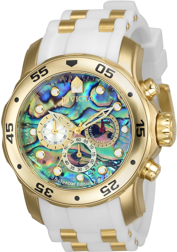 Pro Diver model 24840 | Invictawatch