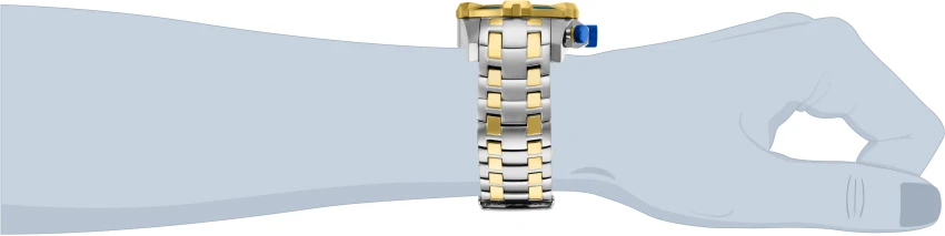 Pro Diver model 25855 | Invictawatch