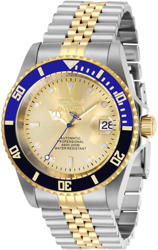Pro Diver model 29181 | Invictawatch