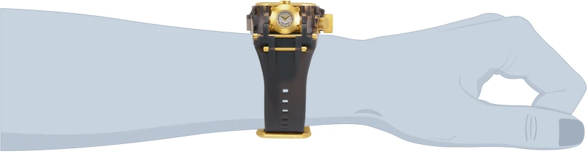 Anatomic model 33186 | Invictawatch