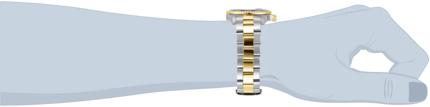 Pro Diver model 33254 | Invictawatch