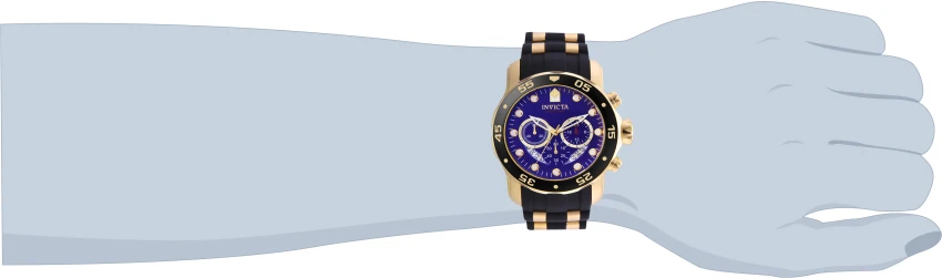 Pro Diver model 6983 | Invictawatch