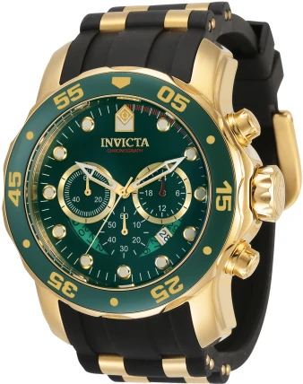 Pro Diver model 21958 | Invictawatch