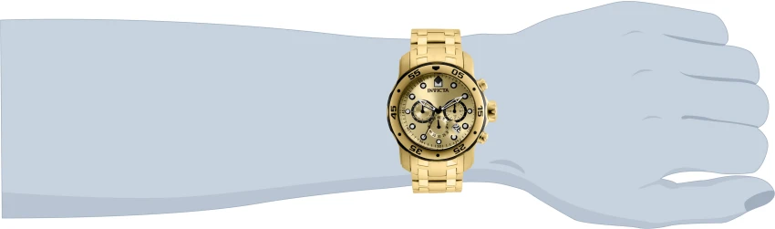 Pro Diver model 80070 | Invictawatch