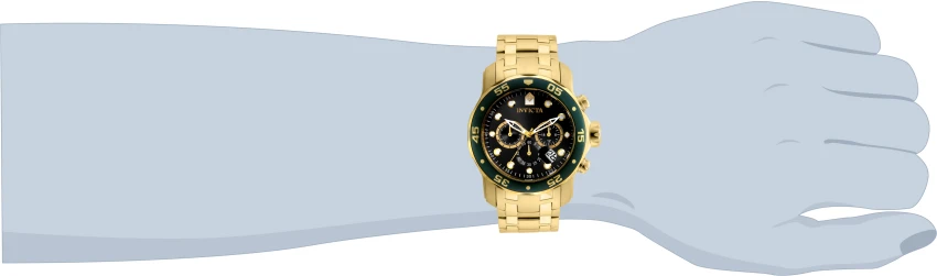 Pro Diver model 80074 | Invictawatch