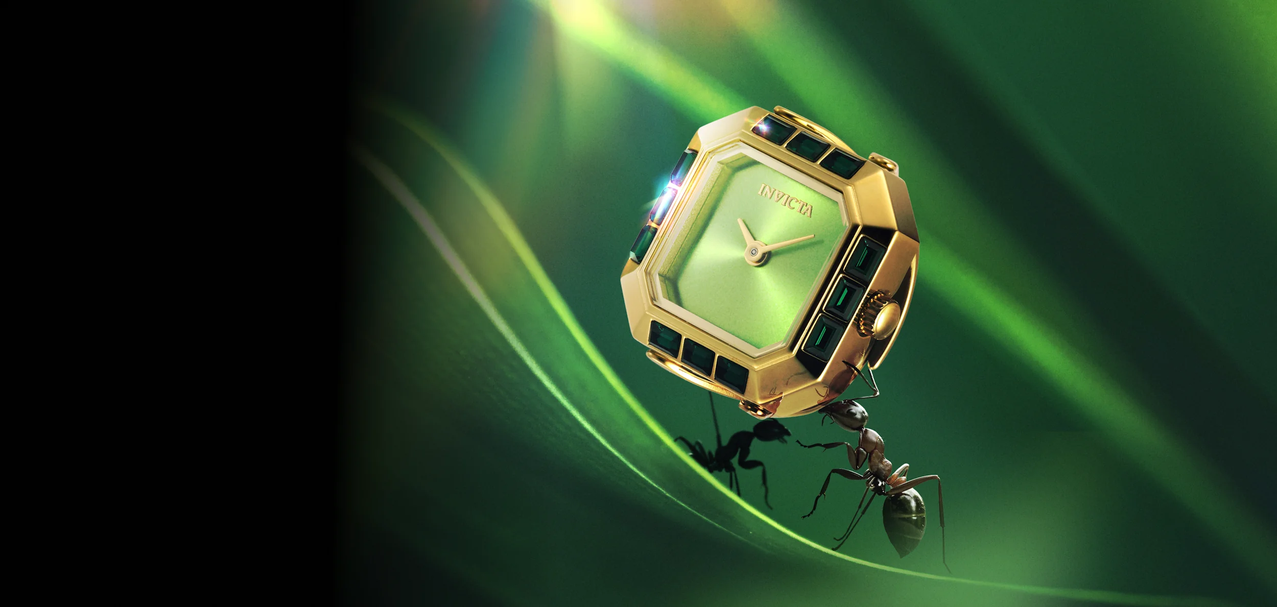 Mini Ring Background